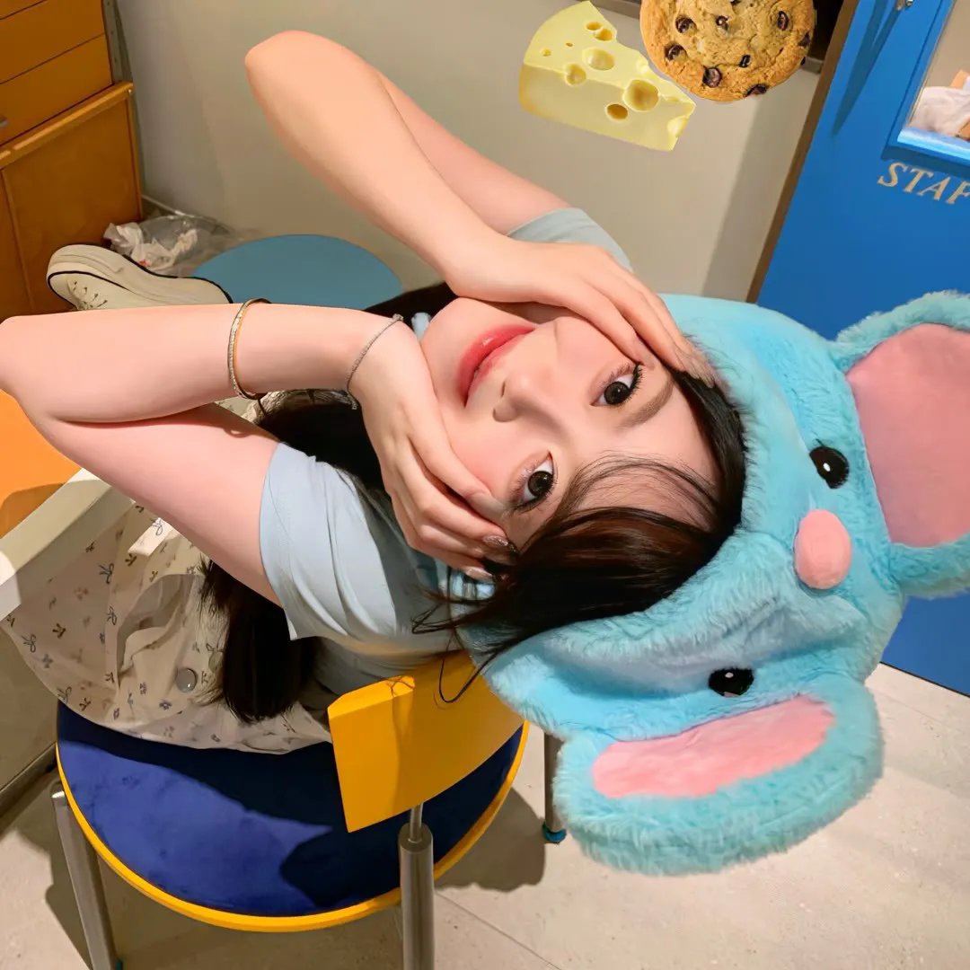野猫痴情